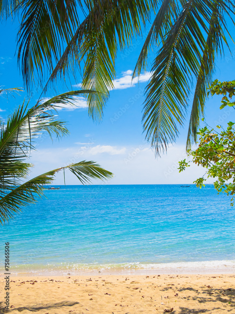 Green View Idyllic Coast