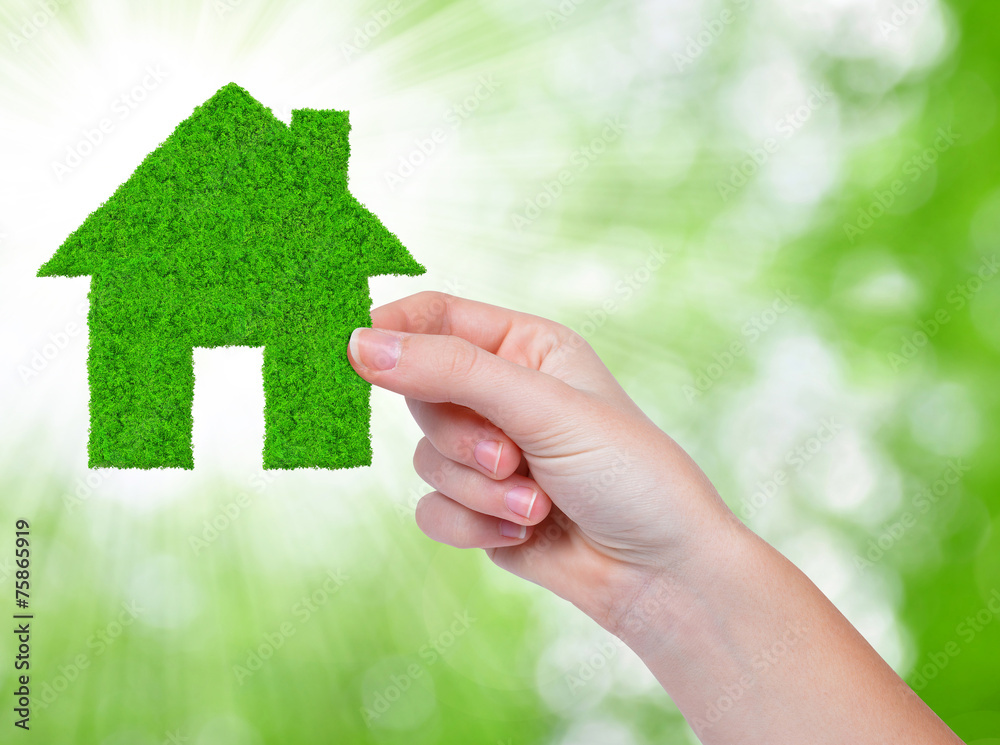 green house in hand