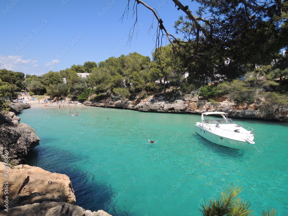 Obraz premium Speedboat achored at the beach