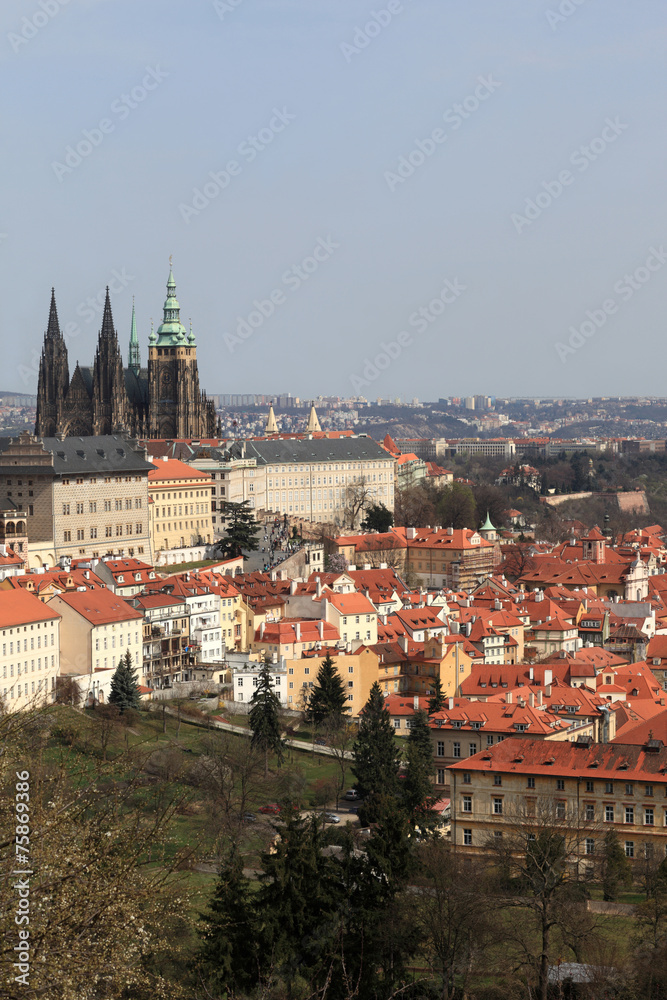 Fototapeta premium St. Vitus Cathedral