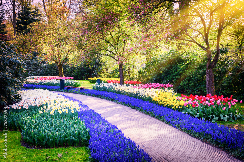 Spring landscape with colorful flowers