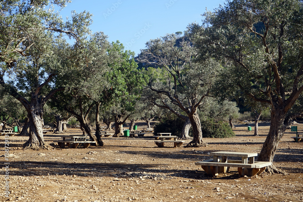 Picnic area Picnic area