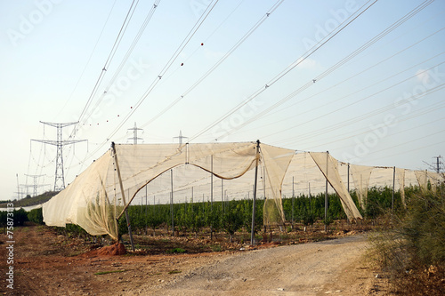 Road and wire photo