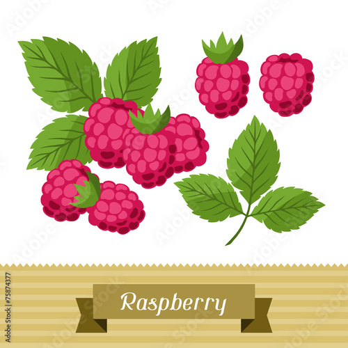 Set of various stylized raspberries.