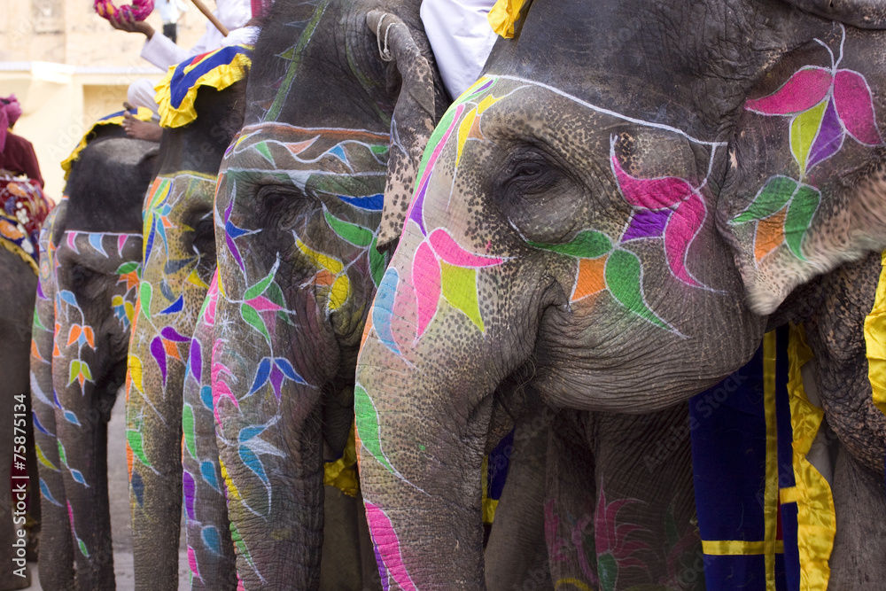 Naklejka premium Colorful hand painted elephants, Holi festival, Jaipur, Rajasthan, India 