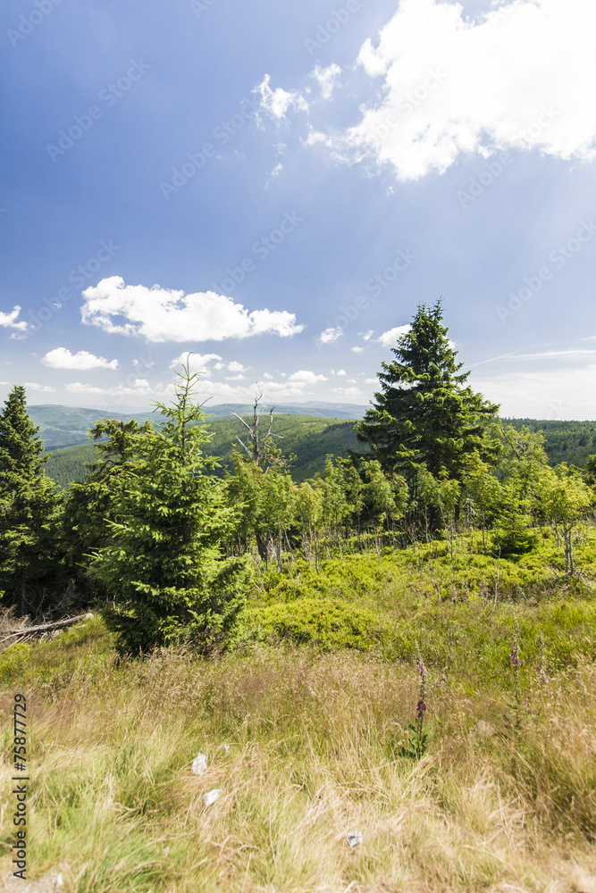 Obraz premium Karkonosze, Sudety