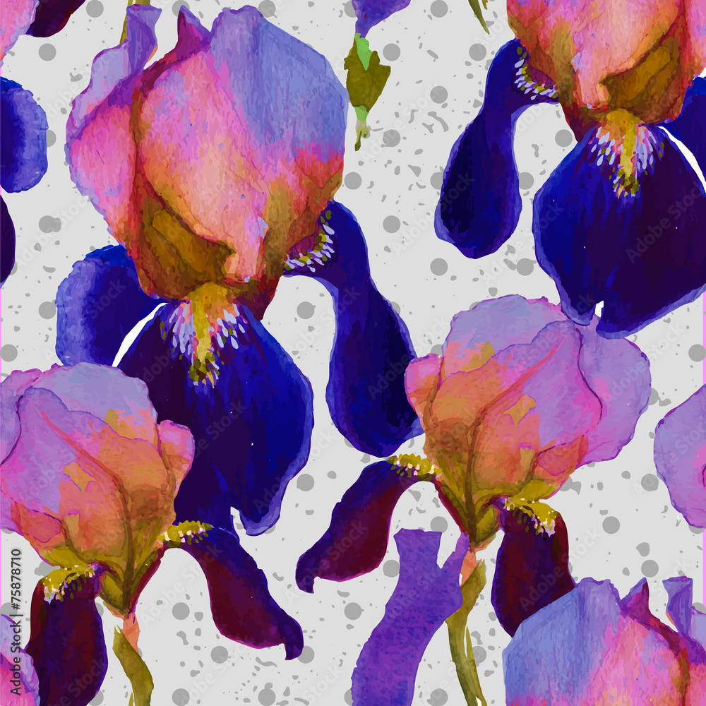 Seamless watercolor pattern with iris flowers in vector