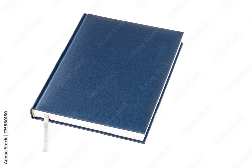 2015 blue notebook