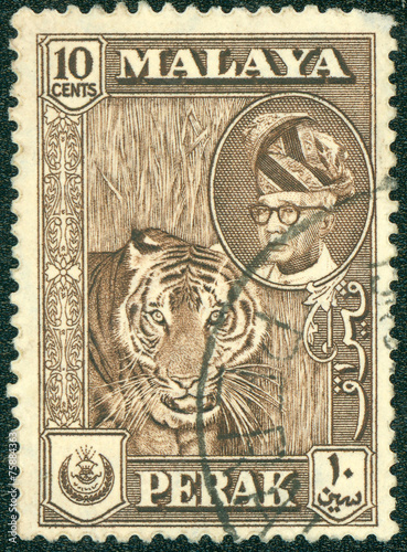 stamp printed in Malaya shows image of a tiger