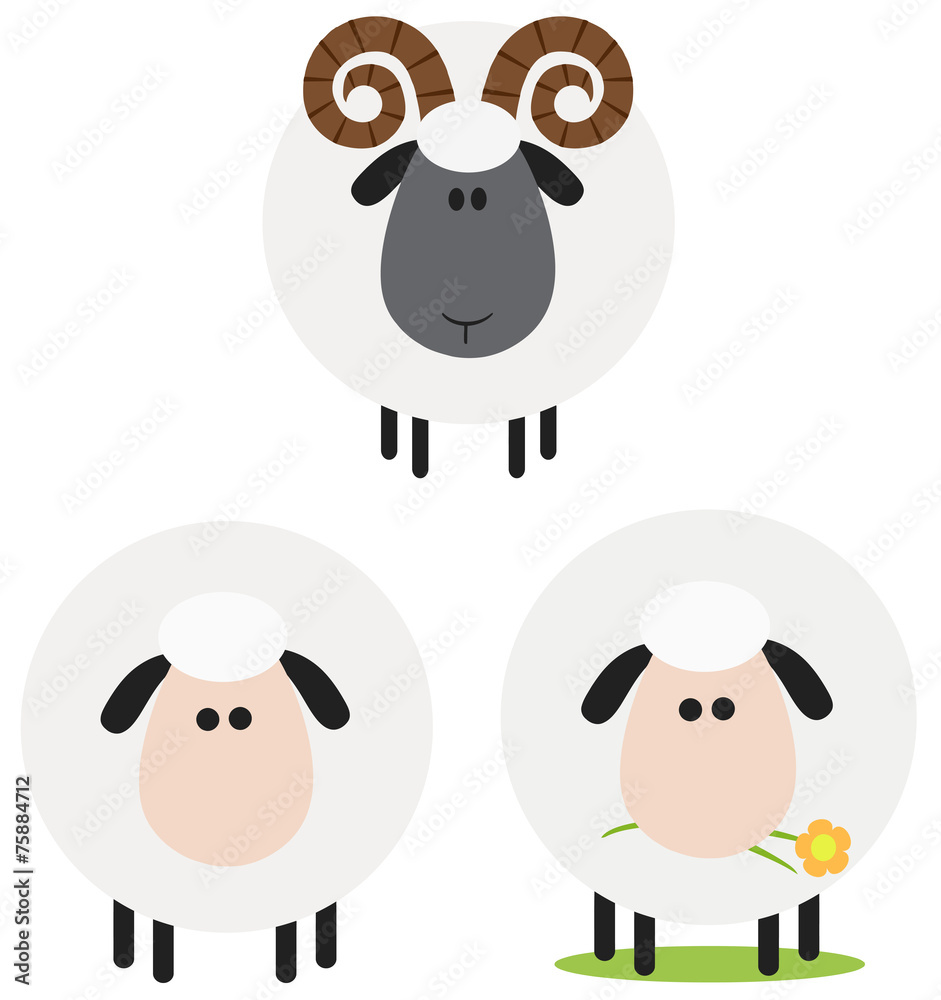 Ram And Sheep Modern Flat Design . Collection Set