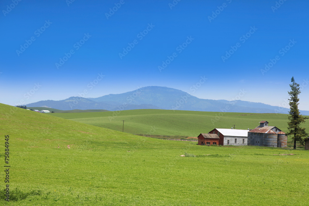 Fototapeta premium Old barns in the middle of lush green farm