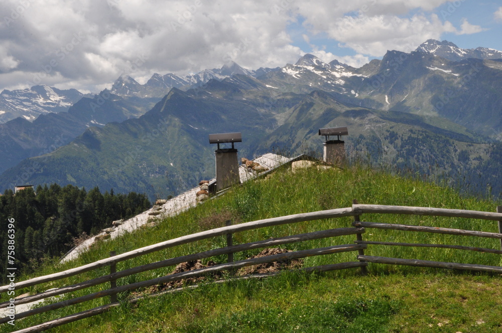 Südtirol, Hirzer