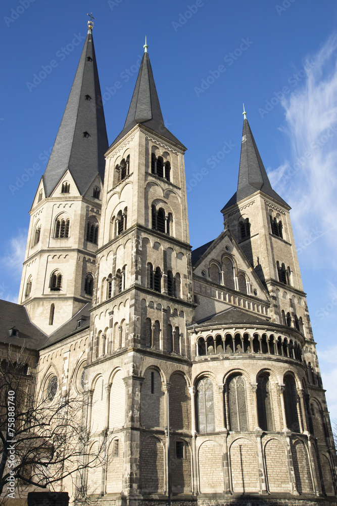 Fototapeta premium Münsterbasilika in Bonn, Deutschland
