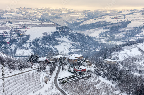 Hills of Langhe in winter.