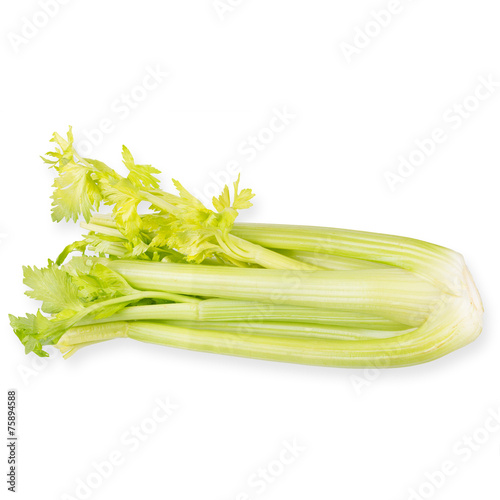 Organic vegetables - celery with leaves, isolated on white