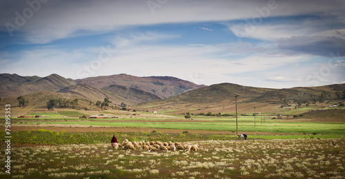Mountains of Bolivia, altiplano photo