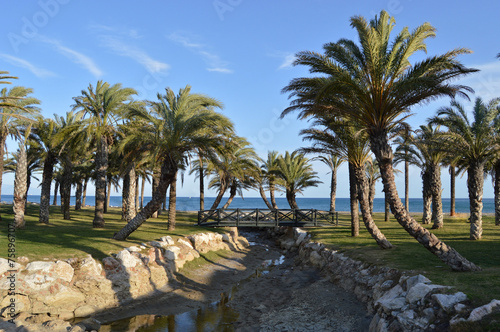 Torremolinos, playa, palmeras, Málaga, Andalucía, paisaje