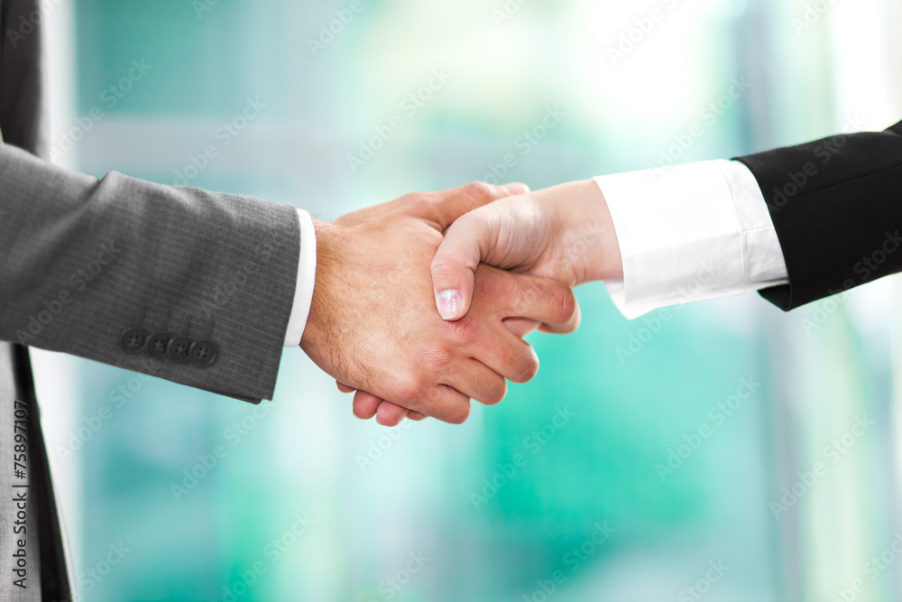 Handshake between business men Handshake between business men