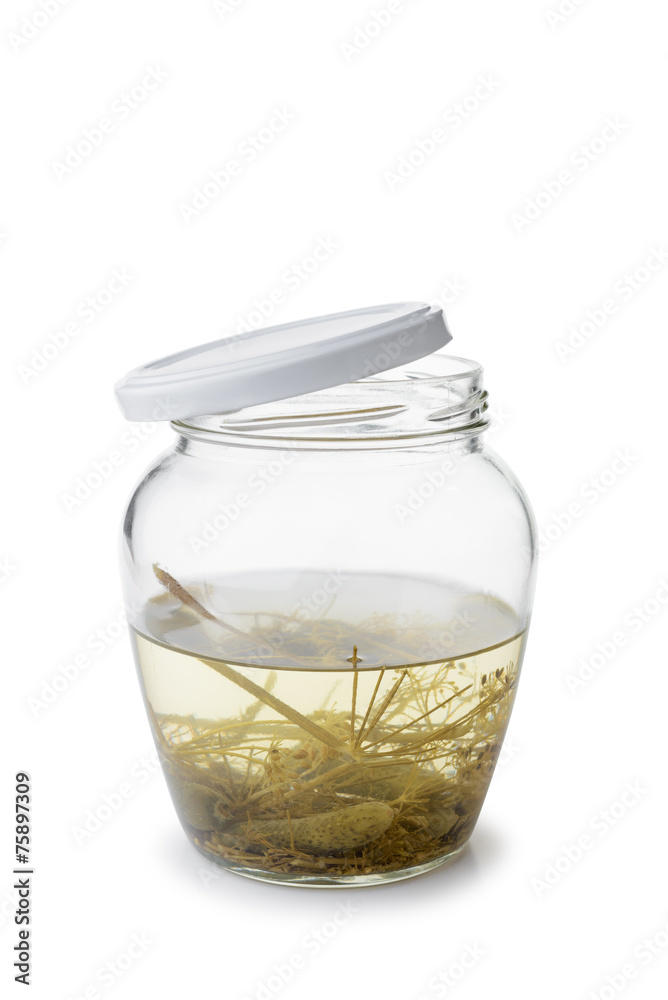 A paunchy open glass jar with some gherkins and liquid inside A paunchy open glass jar with some gherkins and liquid inside