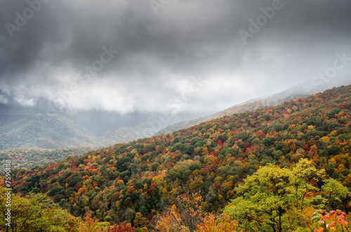 Fog Rolls in over Mountain Slop in Fall