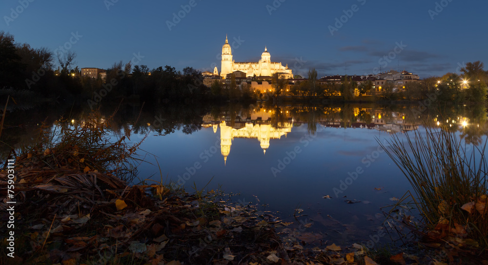 Naklejka premium Night view of Salamanca