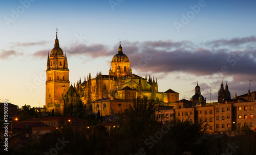  Cathedral of Salamanca in evening