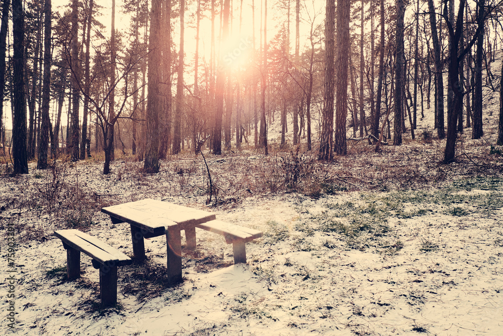 Bench on winter forest Bench on winter forest