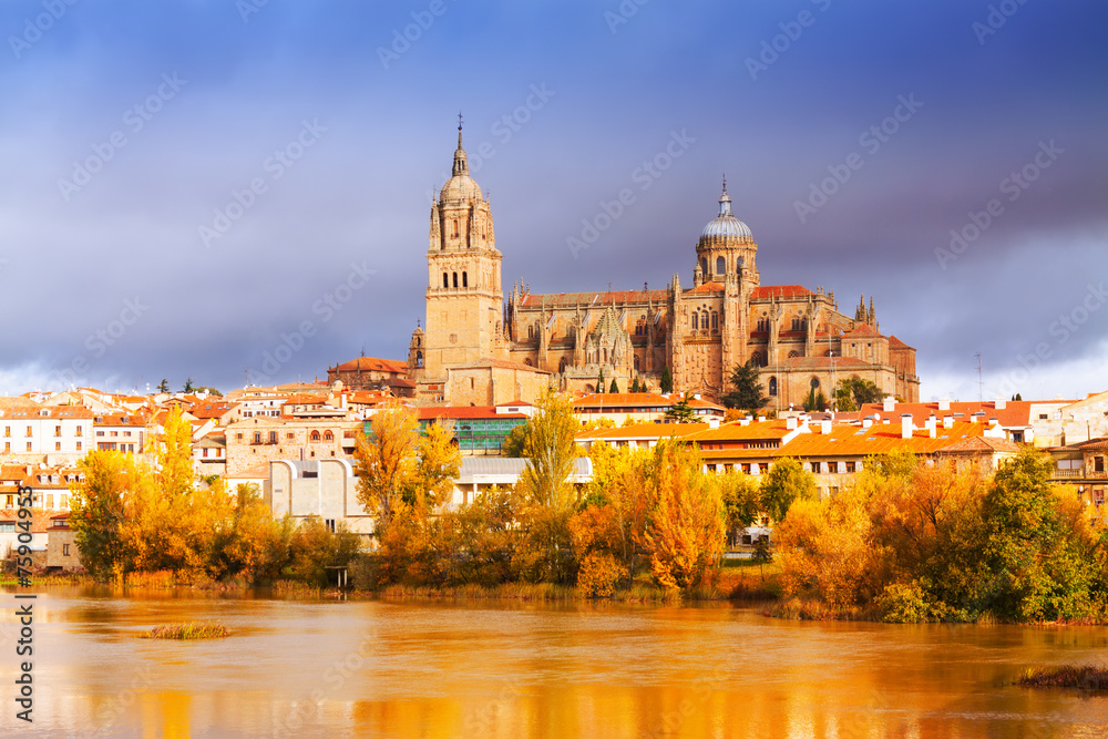 Salamanca Cathedral  in november
