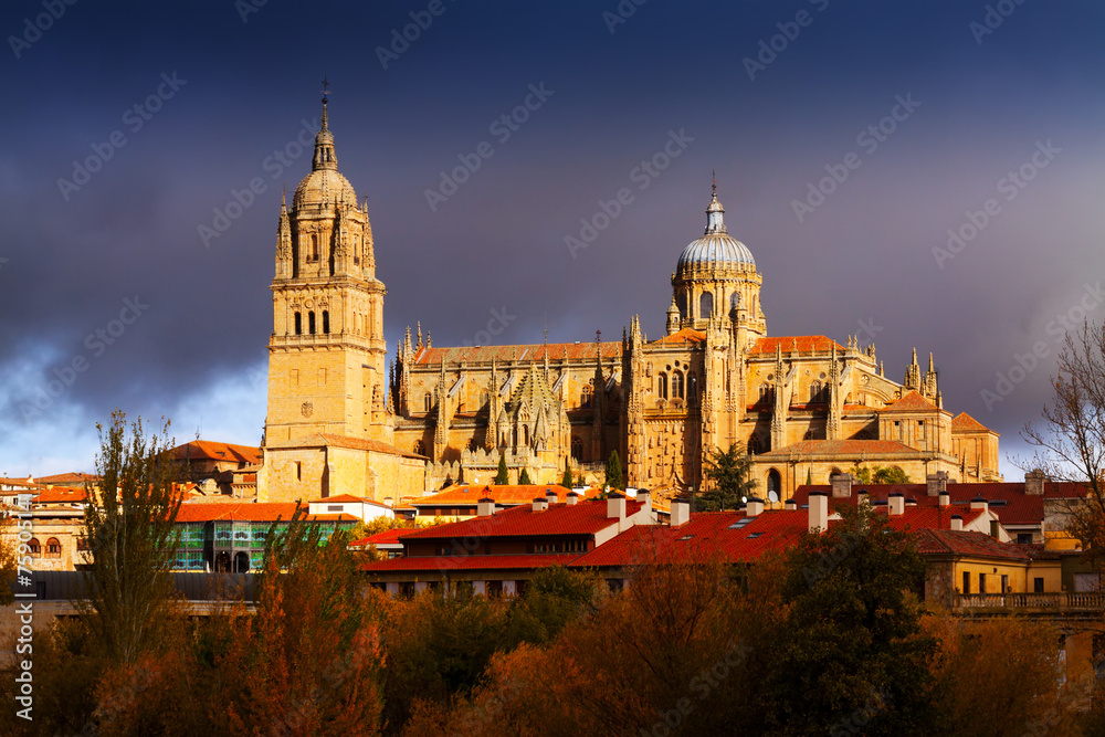 view of Cathedral in Salamanca