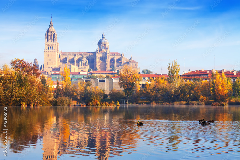 Fototapeta premium Salamanca Cathedral from Tormes River