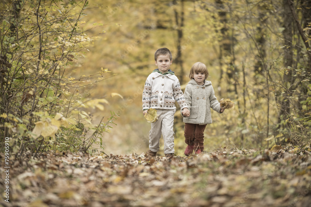 Fototapeta premium Children playing in a forest