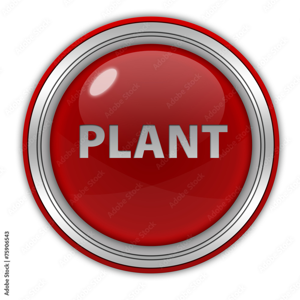 Plant circular icon on white background Plant circular icon on white background