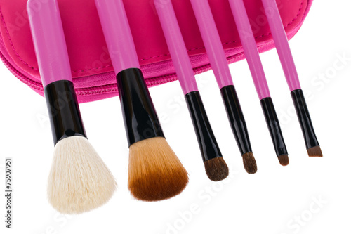 Professional make-up brush cosmetic isolated on white background