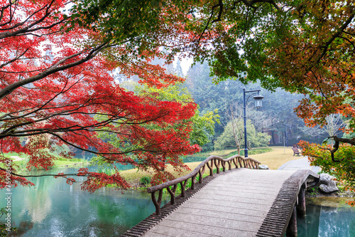 Photography beautiful park in autumn