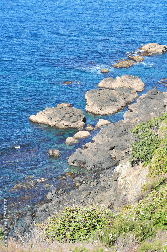 Bushy cliffs off rocky shore