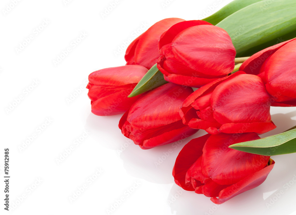 Fresh red tulips bouquet Fresh red tulips bouquet