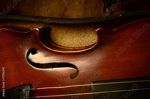 old retro violin