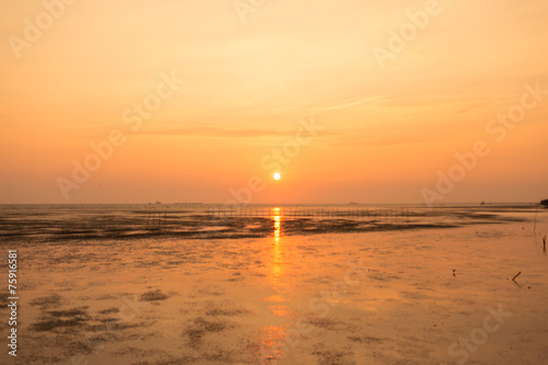 Natural landscape with sunset time.