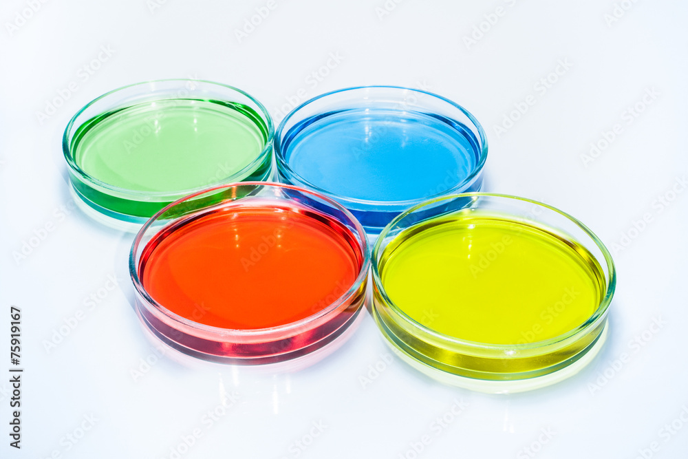 Set of Petri dishes with colored liquid Set of Petri dishes with colored liquid