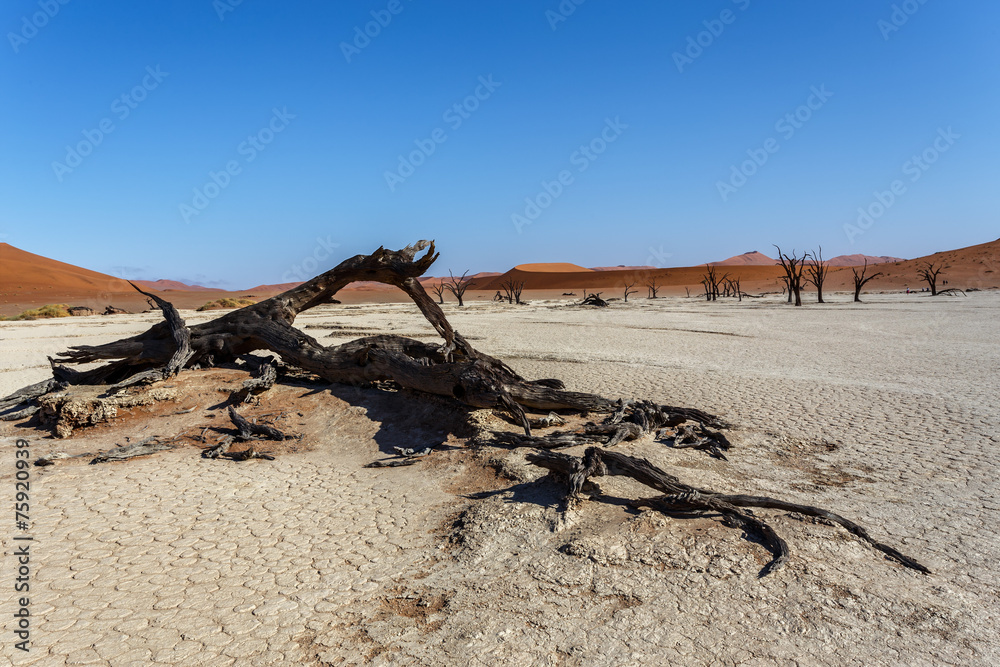 Sossusvlei beautiful landscape of death valley, namibia Sossusvlei beautiful landscape of death valley, namibia