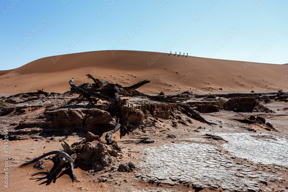 Obraz premium Sossusvlei beautiful landscape of death valley, namibia