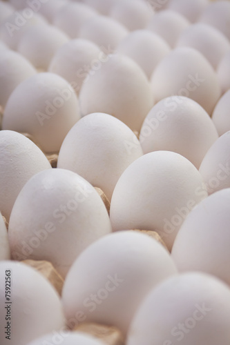 White chicken eggs in the pan