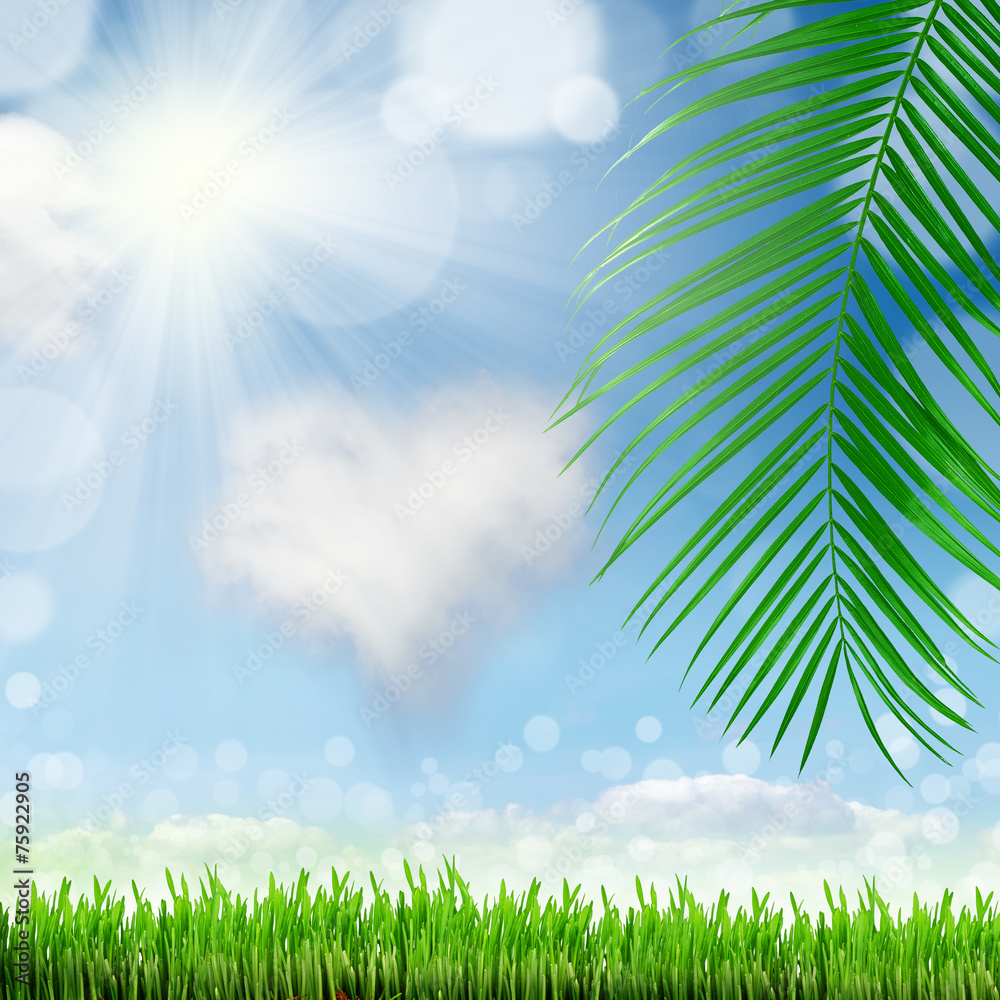 Obraz premium natural green background with selective focus