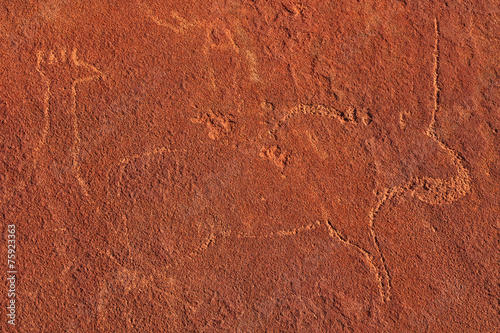 Rock engravings of Twyfelfontein