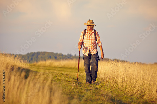 Wanderer mit Stock auf Wiese