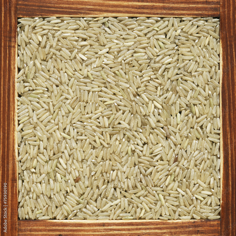 Rice, collection of products Rice, collection of products
