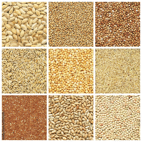 Collection, wheat, barley, millet, oat, pea, peanuts, pumpkin