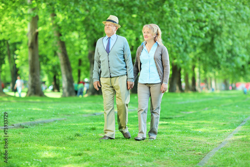 Mature couple going for a walk in a park