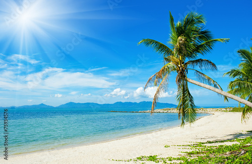 Tropical beach - vacation background