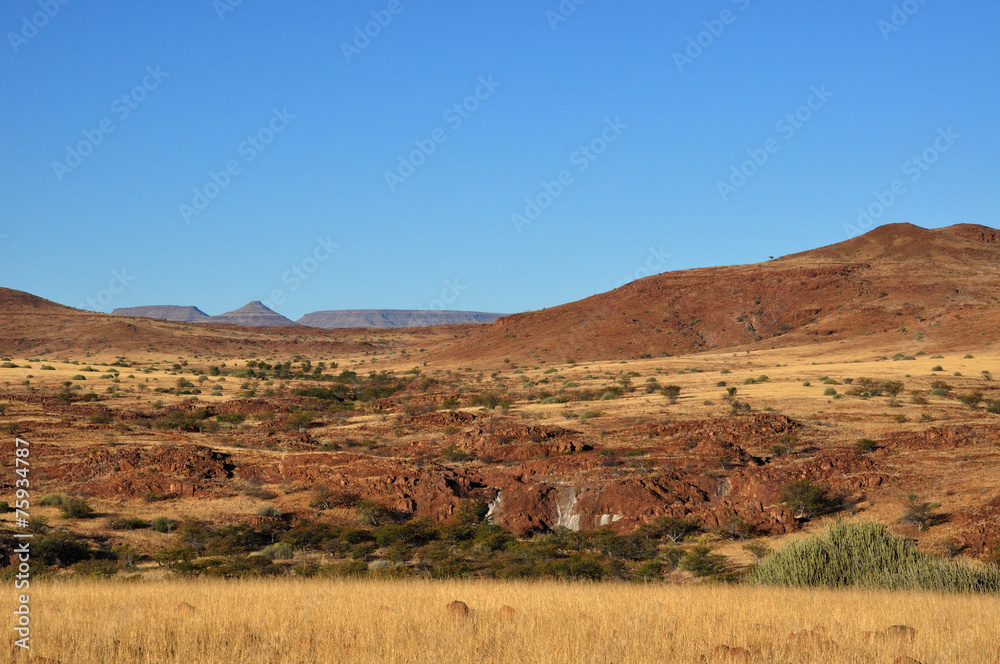 Desertic landscape in Palmwag Conservancy Desertic landscape in Palmwag Conservancy